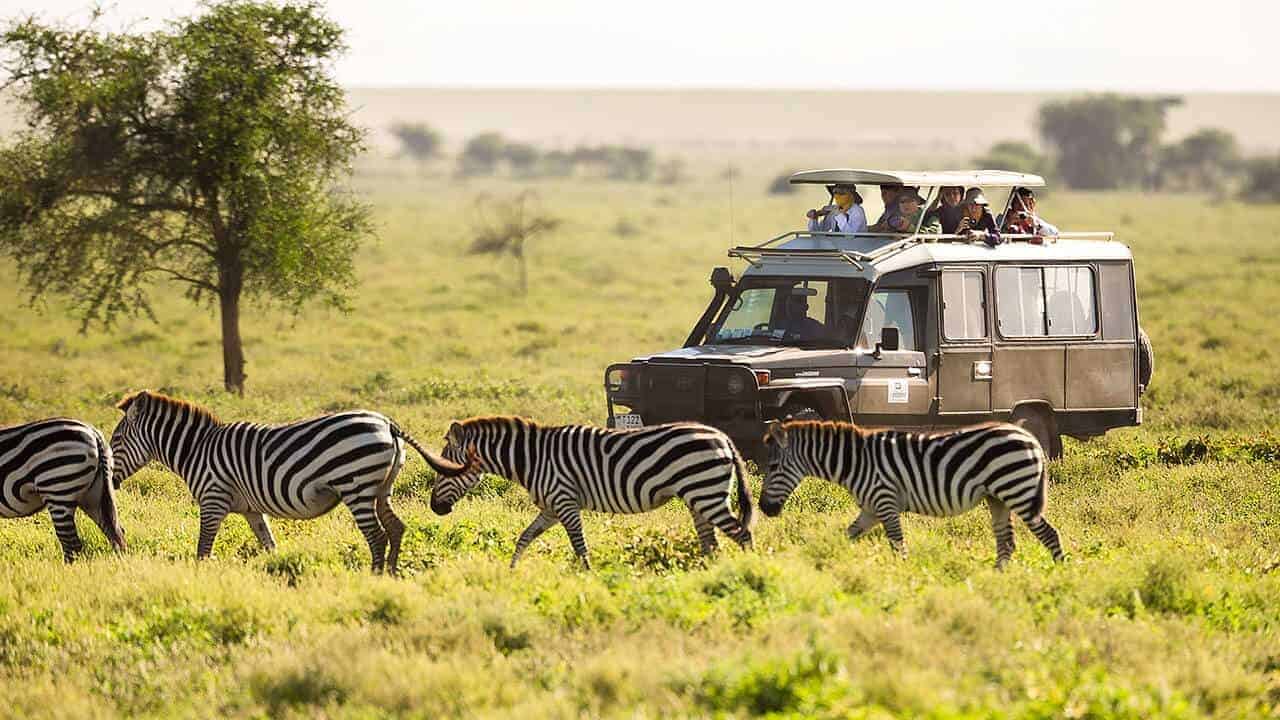 Tanzania-safari-efter-zebra