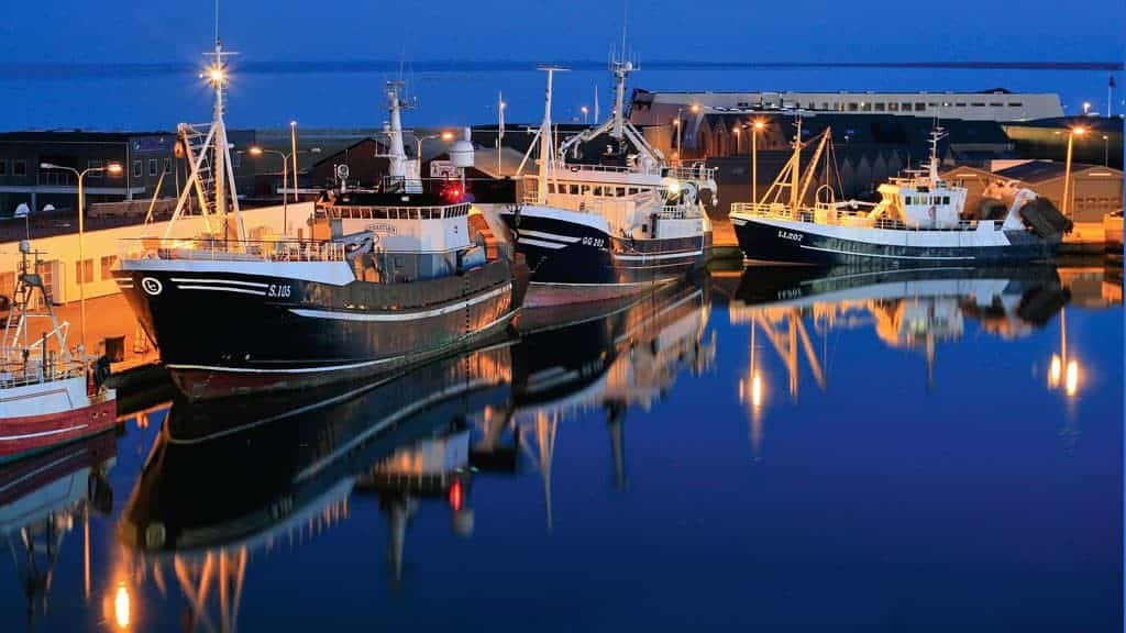 Fiskerbåde i havn, Danmark