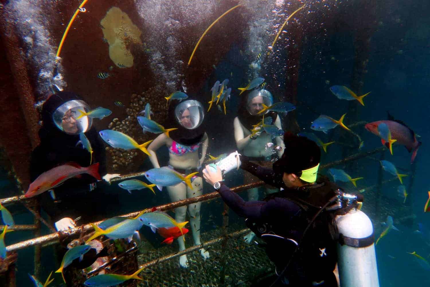 Great Barrier Reef Queensland Australia, Helmet Diving