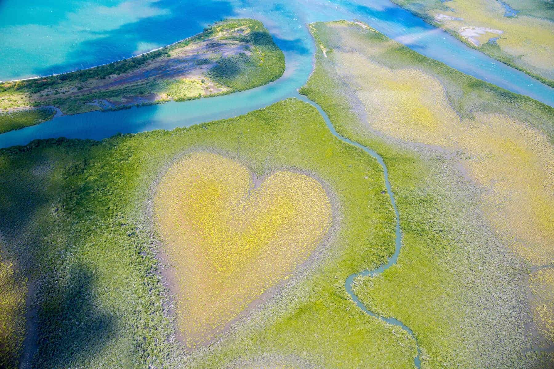 Heart of Voh, aerial view, mangroves resemble a heart seen from above, New Caledonia, Micronesia