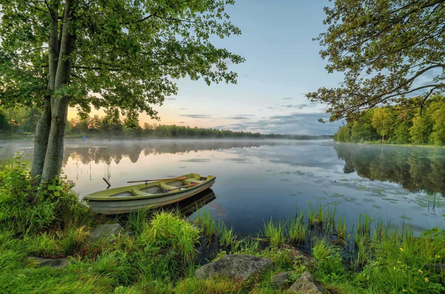 Sverige morgendis sø og landskab