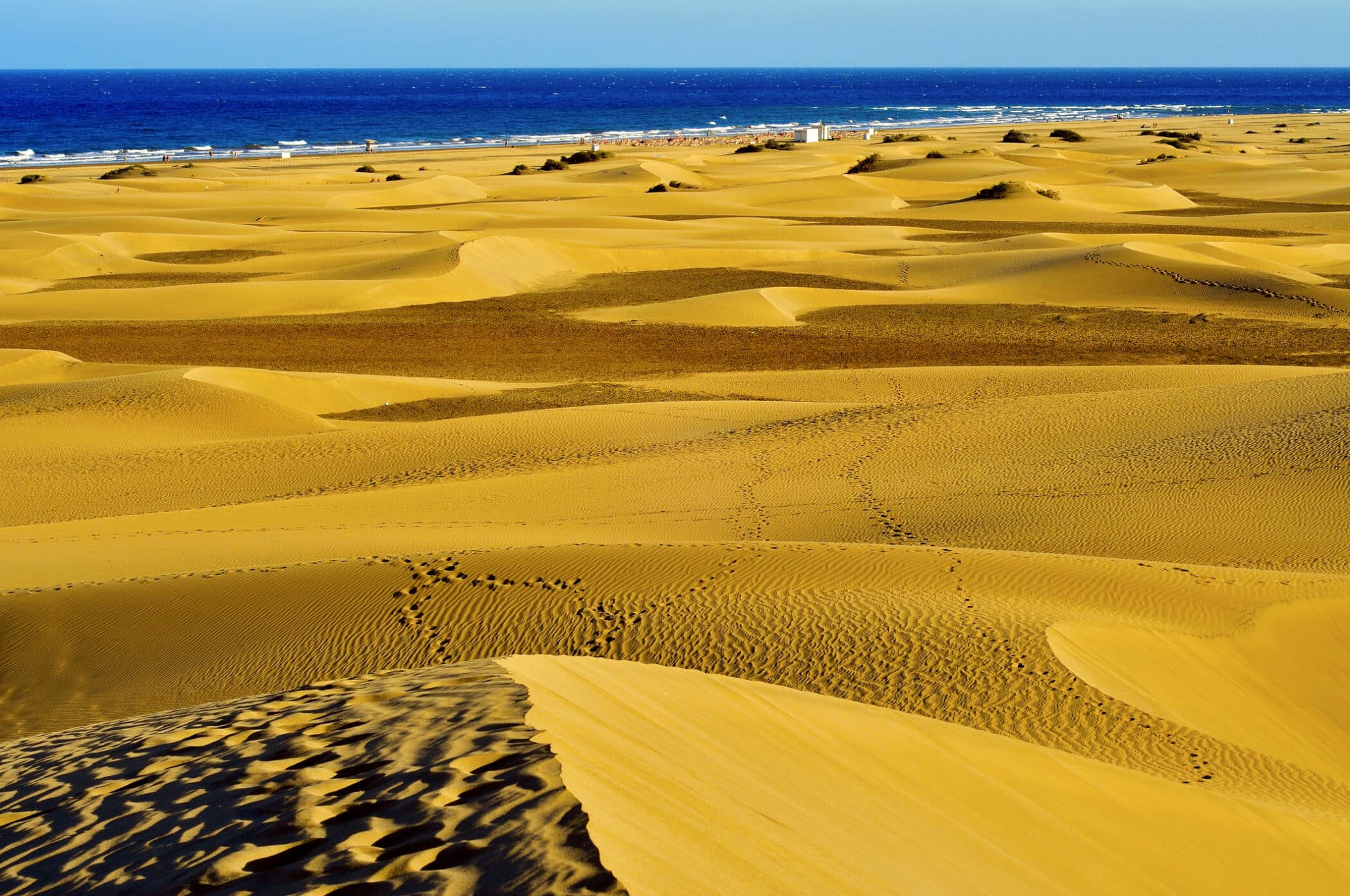 Natural Reserve of Dunes of Maspalomas, in Gran Canaria, Canary Islands, Spain
