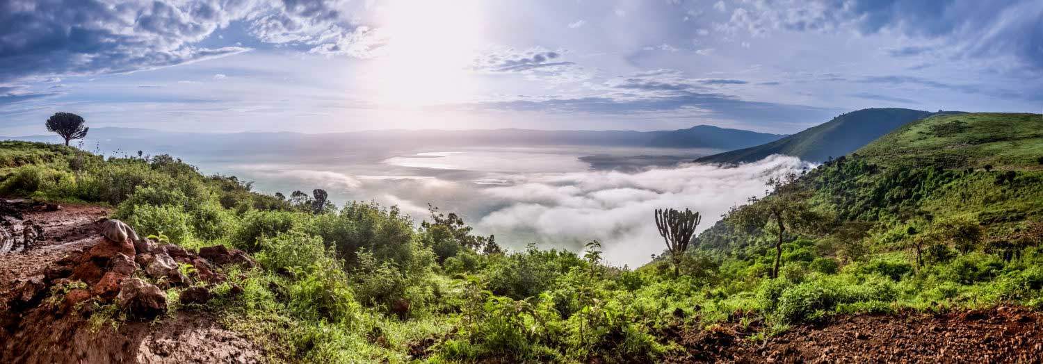 Safari och Tazania; Ngorongoro Crater i Tanzania och Serengetti 