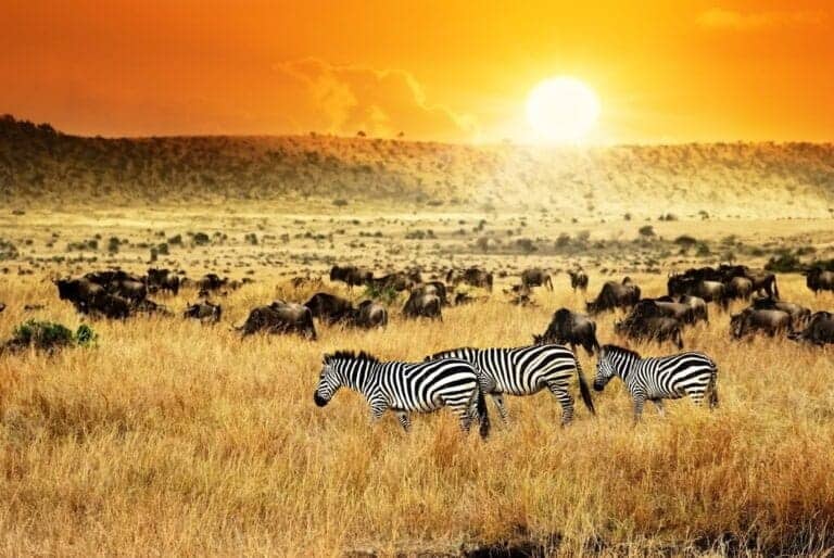 Africa Tours, Kenya African sunset