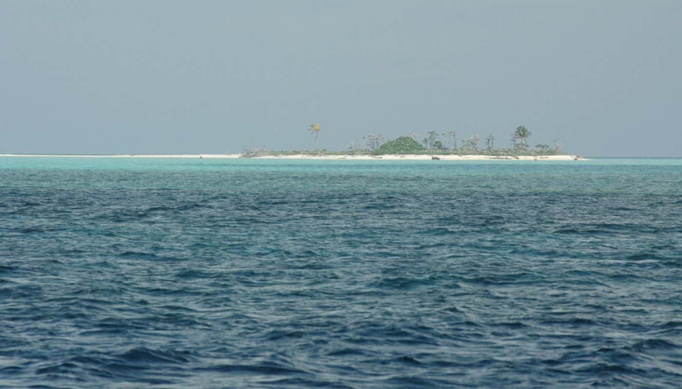 Tubbataha Reef Natural Park, UNESCO World Heritage